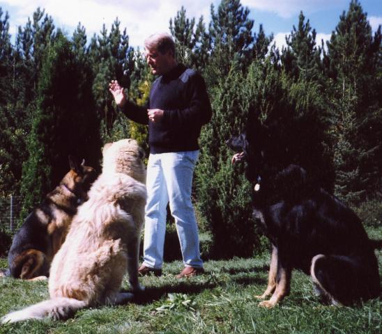 Kerry_and_dogs_2.jpg